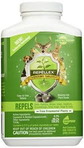 These wasp repellents will only have natural ingredients, and you can use them in your house and garden without any second thoughts. 25 Pest Repellents Ideas Repellents Pests Pest Control
