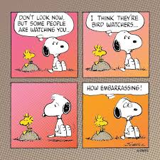 Peanuts On Twitter Friday With Snoopy And Woodstock Tgif Ismilewhen Http T Co Zrafcjousa But otherwise, he was a typical puppy that walked on all fours — and looked a lot like spike. woodstock tgif ismilewhen