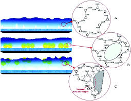 Interior design service, custom made furniture, custom made interior fixture, all interior fixture & fittings flexline furniture industries sdn bhd rubber wood beds,american white oak beds,beds with trundle in wood,bed american oak. Thin Film Nanocomposite The Next Generation Selective Membrane For Co 2 Removal Journal Of Materials Chemistry A Rsc Publishing Doi 10 1039 C6ta05145f
