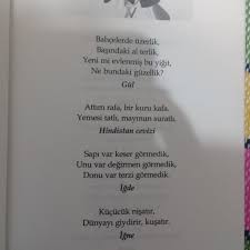 10 Anlamli Bilmece Lutfen Anlamsiz Olsa Sikayet Ederim Tmm Mi Eodev Com