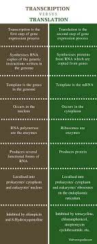 Difference Between Transcription And Translation Definition Process Characteristics C Transcription And Translation Translation Biology Biochemistry Notes