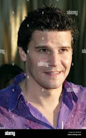 David powers hi-res stock photography and images