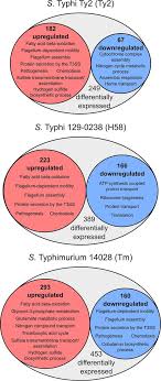 Comparison Of Salmonella Enterica Serovars Typhi And Typhimurium Reveals Typhoidal Serovar Specific Responses To Bile Infection And Immunity