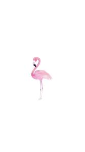 I Think This Is My Fave Flamingo Arkaplan Tasarimlari Baski Balonlar