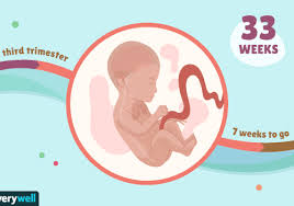 33 Weeks Pregnant Baby Development Symptoms And More