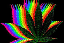 Wayfair.com has been visited by 1m+ users in the past month Trippy Weed Wallpapers Group 70