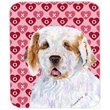 Image result for clumber španěl lov