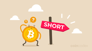 6 Ways to Short Bitcoin [Ultimate Guide To Shorting Crypto] | CoinCodex