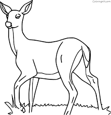 Adult coloring page created from a wall panel from iran 1700 1800. Female Red Deer Coloring Page Coloringall