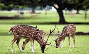 Bioma, ekosistem dalam skala yang luas dan biasanya memiliki kekhasan. Objek Biologi Pengertian Macam Tingkatan