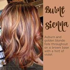 Burnt Sierra Hair Color Auburn Hair Styles Hair Highlights