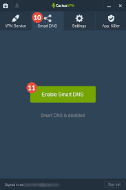Change the cactus smart sink cartridges. How To Set Up Cactusvpn App For Windows Cactusvpn