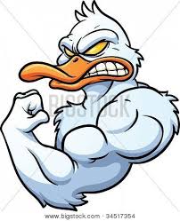  44 M Ideas Haiwan Peliharaan Itik Kraf