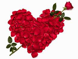 Though many other types of flowers look beautiful in photos, these flowers are especially popular among photographers. Beautiful Love Flowers Images The Best Flowers Ideas Intended For Hd Images Of Beautiful Love Flowers Cicek Acan Agaclar Cicek Guller