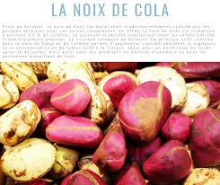 Le travail de nuit a un impact négatif sur la santé.lanutrition.fr vous donne toutes les astuces pour vous préserver. Compleance Home Facebook