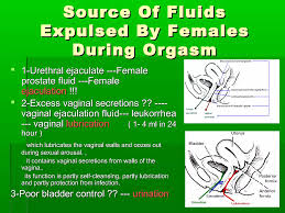 Lets Learn About the A-Spot! – Girly Juice