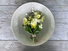 Hours may change under current circumstances Revisiting The Posy In Our Current Moment The New York Times