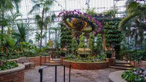 We did not find results for: Phipps Conservatory For The Orchid And Tropical Bonsai Show