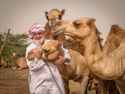 Analyzing the magnitude of the american salary by industry, finding out how comparable the data is with the numbers that characterize similar segments of the russian in america, the average salary of programmers reaches the level of $111,000 per year. Hybrid Camel Arabian Desert Camel Wholesale Supplier From Nagpur