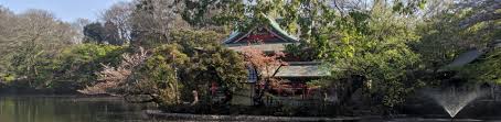 First let me say that japan is an a m azing country rich in history and living here as a foreigner takes some getting used to but the dating game is a completely different how does it work for foreigners? My Experience Dating In Japan The White Guy Perspective The Foreign Rational