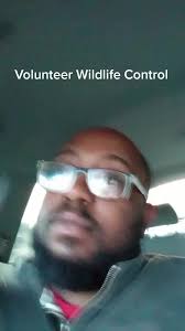 Who's volunteering to pick up wild animals? #wildlife #animals  #volunteering #comedy #fyp #funny #comedian