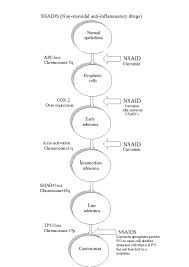 Fap Gene Curcumin A Personal Trial