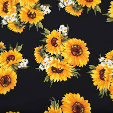 Bunga matahari (helianthus annu l.) adalah tanaman dengan bunga indah yang biasanya berwarna kuning. Bunga Matahari Di Hitam Reaktif Pencelupan Kain Spurex Peregangan Fabric Yang Sempit Untuk Gaun Mantel Tissus Au Meter Tecido Tissu Telas Tela Lusuh