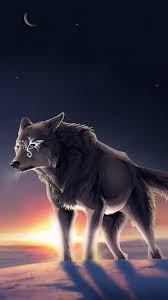 Two black and white wolves wallpaper, wolf, couple, animal, animal themes. Fantasy Wolf Iphone Wallpaper Hd Jpg Iphone Wallpaper
