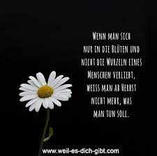 Weil Es Dich Gibt No Twitter In Die Bluten Verliebt Spruch Und Zitat Liebe Https T Co Zkvqqrtaah Liebe Spruche Zitate Germanmediart Verliebt Https T Co Ma6anaenku