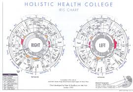 Iridology Chart Download Free Iridology Eye Chart