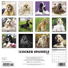 Just Cocker Spaniels 2018 Calendar Willow Creek Press