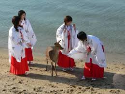 ネットで拾った変な画像 ボイルエッグ あったかいんだから 哲学ニュースnwk 巫女さん 神道 神主