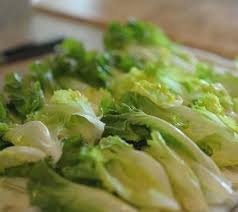 Lidia S Italy Recipes Smothered Escarole Lidias Italy Recipes Escarole Recipes Lidia S Recipes