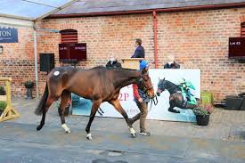 Find the latest goff corp (goff) stock quote, history, news and other vital information to help you with your stock trading and investing. Goffs Uk November P2p Sale Hype Not Misplaced As Jonbon Sets World Record