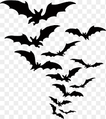 We did not find results for: Three Black Bats Illustration Bat Crows Black And White Bat Mammal Animals Png Pngegg