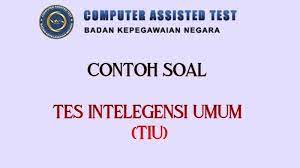 Contoh soal tiu pppk padanan kata 1. Kumpulan 35 Contoh Soal Tes Intelegensi Umum Tiu Cpns 2021 Dari Simulasi Cat Bkn Serambi Indonesia