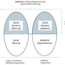 Pdf Das Potential Von Social Business In Osterreich