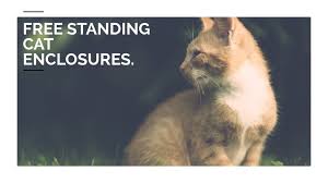 Looking for diy cat projects? Diy Cat Fencing