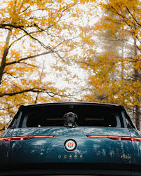 Image result for Pacific Fog 2019 Fisker