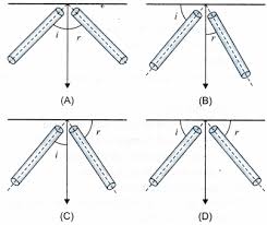 Ncert Class 9 Science Lab Manual Sound Science Lab Sound Experiments Longitudinal Wave