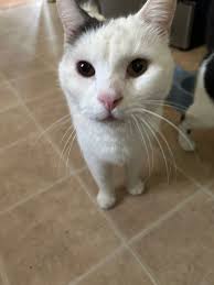 Child Safely Returns Home After Being Missing