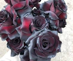 Maybe you would like to learn more about one of these? Top 10 Tips To Keep Your Plants Alive Hello Blooms Melbourne