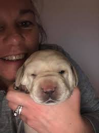 Macy (Twix x Nacho) is growing so quickly!🥹 2 months ⏩️ 4 months