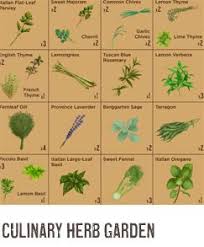 Guides For Growing Different Types Of Gardens Culinary Herb Garden Salad Garden Beginner S Garden Via Culinary Herbs Vegetable Garden For Beginners Herbs