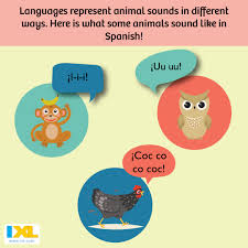 Does An Owl Hoot Or Uu Uu Learn New Animal Noises In Spanish Sundayspanish Animal Sounds Spanish Hoot Owl