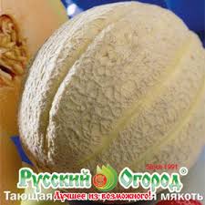 We did not find results for: Dynya Mydobro Seeds