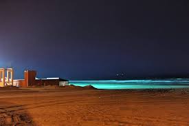 Necochea El Paraiso Natural De Noche La Playa Tambien Facebook
