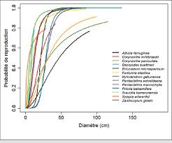 Image result for Eriocoelum microspermum