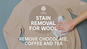 How to remove peanut butter stains. How To Remove Stains From Wool Clothes Chocolate White Coffee And Tea Youtube