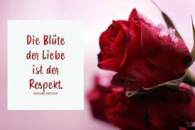 Rosen Spruche Und Rosengedichte Liebe Moderne Und Klassische
